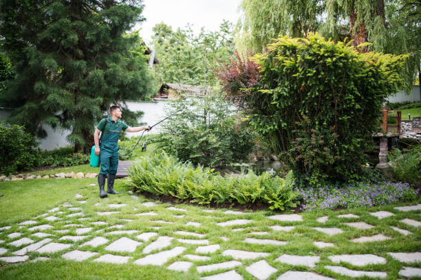 Best Mosquito Control Services  in Southlake, TX
